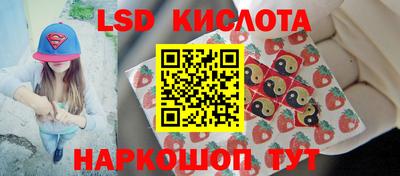амф Жуковский