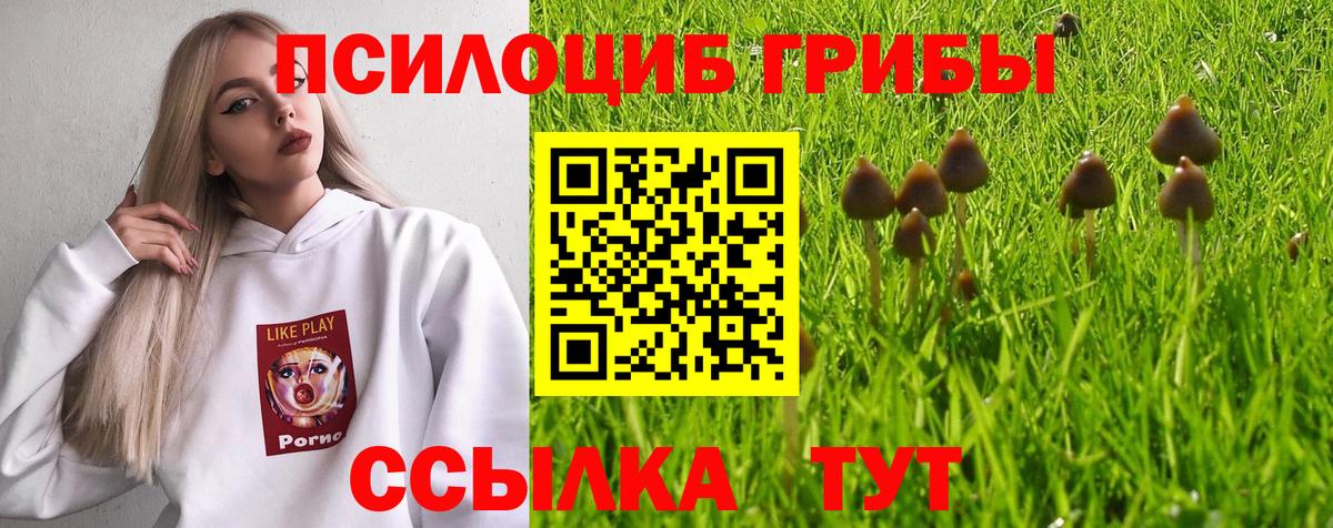 Псилоцибиновые грибы MAGIC MUSHROOMS Балтийск