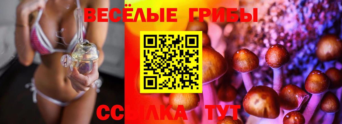 Балтийск  Псилоцибиновые грибы Magic Shrooms  Вход с VPN  купить  цена  Псилоцибиновые грибы MAGIC MUSHROOMS 